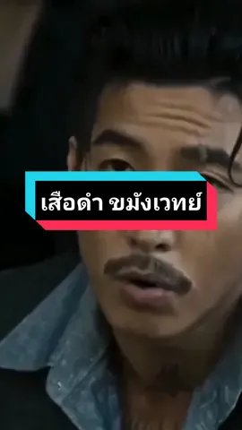 #เสือดํา #จอมโจรขมังเวทย์ #สุดเท่ห์😎ดีต่อใจ #โตโน่ภาคิน #นําแสดง #ขุนพันธ์3 #4kings2 #วิชาหยุดกระสุน 