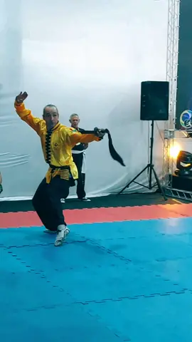 #tskf #kungfu #kungfuadistancia #kungfuonline #wushu #louvaadeus #artemarcial #artesmarciais #shaolin #chikung #camisadeferro #humor 