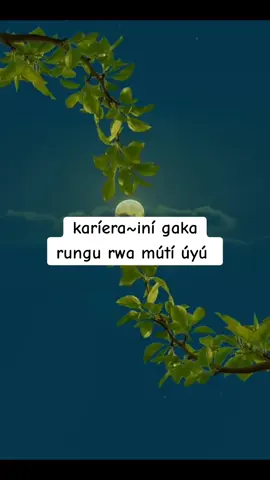 #muigaiwanjoroge  #kikuyulyrics  #kikuyulovesongs  #kikuyusongs  #lyrics  #fyp 