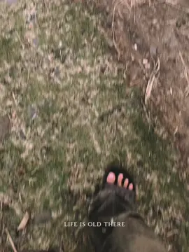 @ℂ𝕠𝕕𝕠𝕥. 