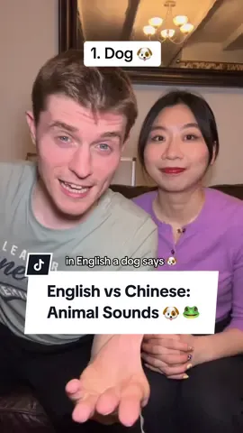 English vs Chinese: Animal Sounds 🐶 🐯 🐸 #british #uk #interracialcouple #internationalcouple #couplegoals #britishaccent #chinese #mandarin 
