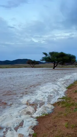 #اجواء_اليوم_امطار #النمرية #القصيم #غيم_مطر