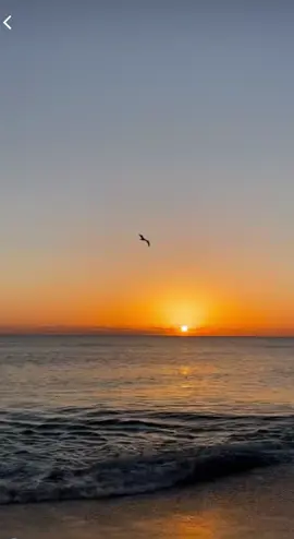 Ocean therapy🌅 #asala #اصالة #حبيب_الروح #بشعر_حبيبي_في_فرح_بالجو #fypシ゚viral #vibes #therapytiktok #therapy #sea #sunset #fyp #amazingvideo #fypシ 