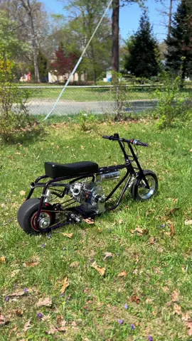 She so purty 😏 #BenkosmeBuildz #minidragbike #minidragbikes #billetanimal #fypシ #viral #minibiketiktok #minibikesyndicate #minibikesociety #minibikedragracing #dragbike #minibiketok #minibikemafia #minibike #minibikesoftiktok #minibikedragbike #minibikelife #minibikes #billet #bullyclutches 