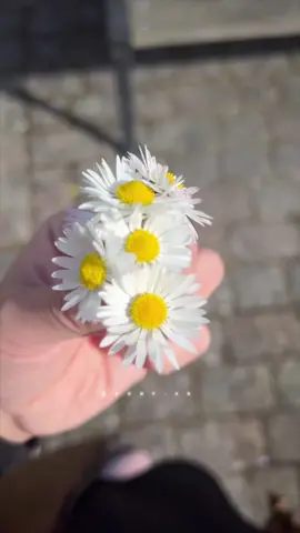 معقوله تكون هي هيه الحياة..؟💫#explorepage✨ #تصميمي🎬 #fypシ 