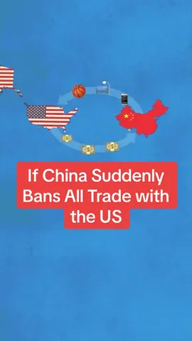 If China Suddenly Bans All Trade with the US #maps #history #interestingfacts