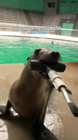 Wait till the end… 👀 