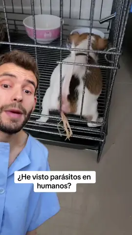 #dúo con @Yyaying Oom Zing ¿he visto parecido? #salud #perro #historia #trabajo #SabiasQue 