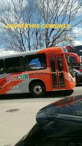 #cancun #cancunmexico #cancunvacation #camionescancun 