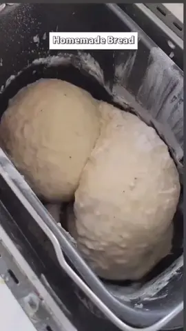 I just can't... 😂😂😂 #homemade #bread #Home #baking #jacobysalliance #foryou #justforfun #heyman #funnyvideos #comedyvideos #lmao #lolz 
