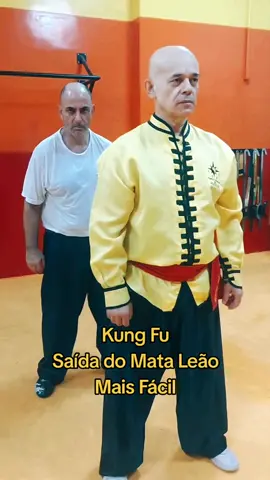 #tskf #kungfu #kungfuadistancia #kungfuonline #wushu #louvaadeus #artemarcial #artesmarciais #shaolin #chikung #camisadeferro #humor 