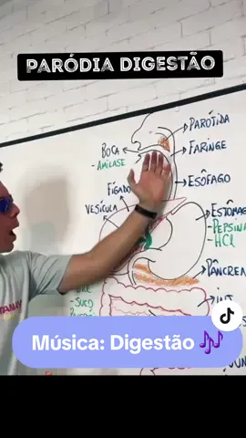 Paródia sobre a digestão 🎶 Créditos: Canal Me Gusta Bio #paródia #digestão #sistemadigestivo #trend 