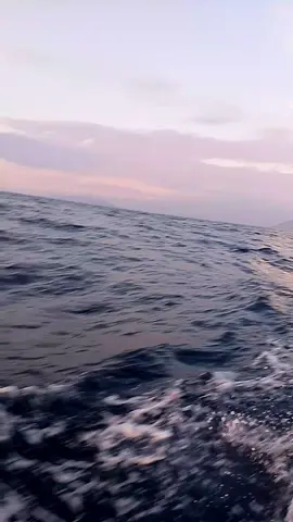 akkaresoko nure #capcut #katakatabugis #fyp #masukberanda #akkaresokoanakmuda 