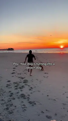 First trip to the beach and she already loves it