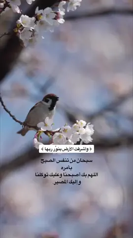 #واشرقت_الارض_بنور_ربها🌤️#اصبحنا_واصبح_الملك_لله__صباح_الخير 🌹