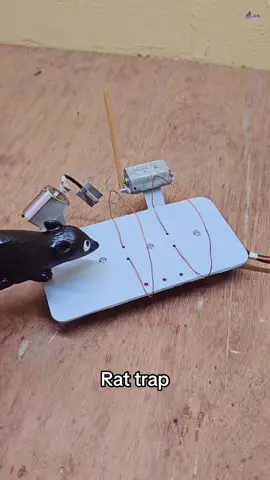 Bug trap vibes #waitforit #weird #funny #shoutoutot (via science_engineering_new/IG)  