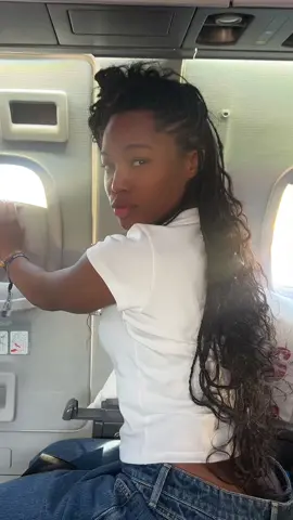 I BROKE THE PRIVATE JET WINDOW TRYNA BE FUNNY