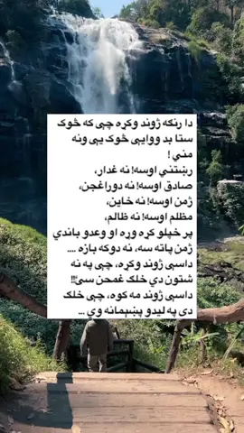 سل په سله حقیقت ده 💯که همداسی نده#foryoupage #fypシ #viralvideo #capcut #viral #greenscreen #viralvideo #gro #viral #afghanistan🇦🇫 #زنده_باد_افغانستان_متحد_با_تمام_اقوام 