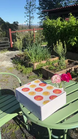 Dream package from Row 7 Seeds 🥹🫶🏻 #growyourownfood #row7seeds #gardening #unboxing 