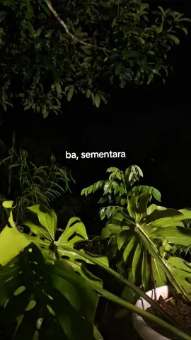 'tunggu sampai semua mereda'