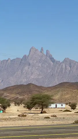 #جبل_شار #شامخ #تصويري #الحويطات #السعوديه #ديار_الحويطات #المصور_محمد_الطقطقي #شرما_نيوم__تبوك_العلا #جبال_الشمال_المغرب #الساحل_الغربي #viralvideo #tabak #fyp #رفيحي_الحويطات #اكلسبلورررر 