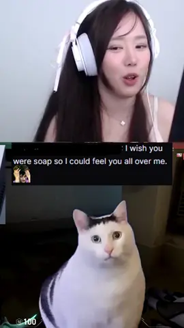 twitch chat consists of 2 types of people 🤨 #Valorant #valorantclips #fyp 