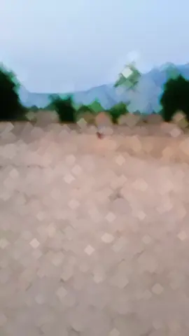 #ສຸດຢອດບໍ🥰🥰😄😄🇱🇦🇱🇦🎵🎵