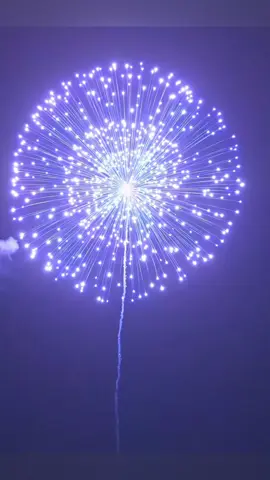 World's Biggest Firework Bombs!😱💥 #fireworks #firework #feuerwerk #fuegosartificiales #fogosdeartificio #fireworkshell #pyro #pyrography #4thofjuly #pyro4life #fireworkshow #fyp #foryou #tiktok #viral 