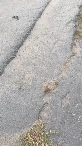 นายมาๆ#เธรด #ท้องฟ้า #สุราษฎร์ธานี #กาญจนดิษฐ์ #อย่าปิดการมองเห็น #ฟีดดดシ #fypシ 