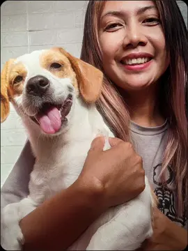 w/ Elly! #halfbeagles🐶 #dogsoftiktok ##CapCut 