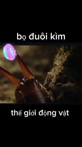 thế giới động vật #thiênnhienhoangda #thếgiớiđộngvật #xuhuong #xuhuongtiktok #xuhuongtiktok 