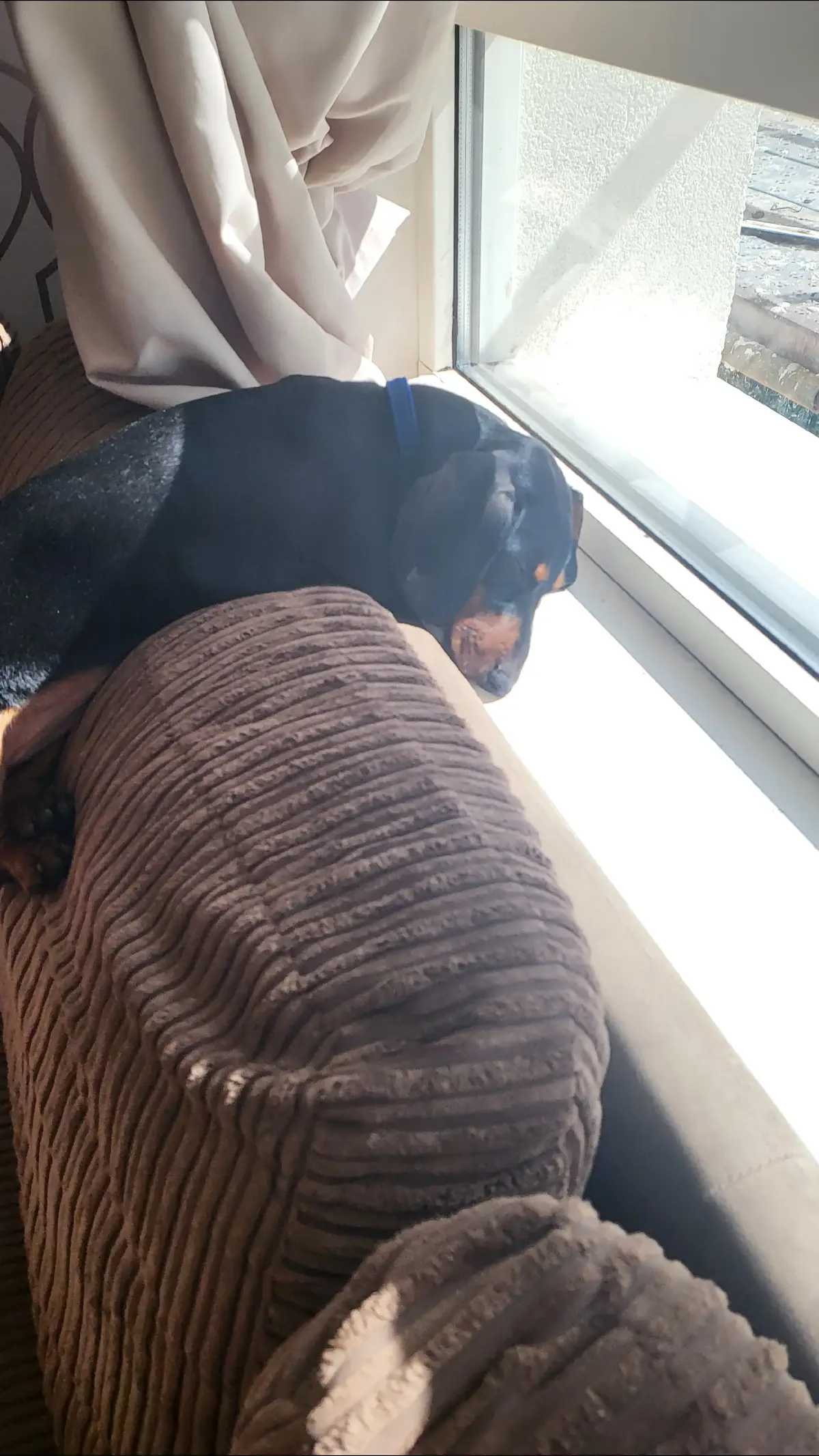 evidence 🤣🤣♥️ 