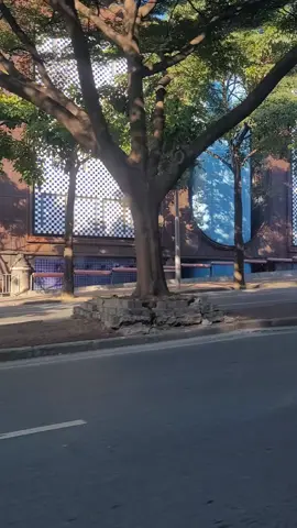 Pelas ruas de BH #tour #turismo #viajem #minasgerais #belohorizonte 