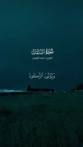 سورة النمل كاملة ً بدون تقطيع | القارئ : احمد النفيس #تلاوة_خاشعة #قران_كريم #قران #احمد_النفيس #سورة_النمل #quran #تلاوه_خاشعه #طس #ahmad_alnufais #الروح_المبين #islam #telawat 