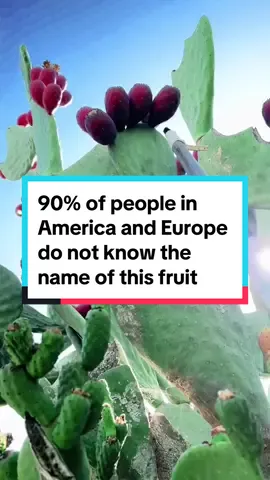 90% of people in America and Europe do not know the name of this fruit. #streetfood #foodstreet #foodtiktok #Foodie #foodporn #foodreview #food #fyp 