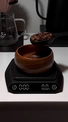 قهوتي ☕️ #v60_coffee #v60 #viral #fyp #foryou #بدون_موسيقى #قهوه #تصوير #تصميم #اكسبلور #اكسبلورexplore #اكسبلور_تيك_توك #اكسبلور؟ #هاشتاقات_تيك_توك_العرب #هاشتاق #ترند #ترند_تيك_توك #شعر #ذوق #اجواء #قهوة_المساء #قهوه_مختصه #قهوه_مسائيه #روقان #fyp #اكسبلو 