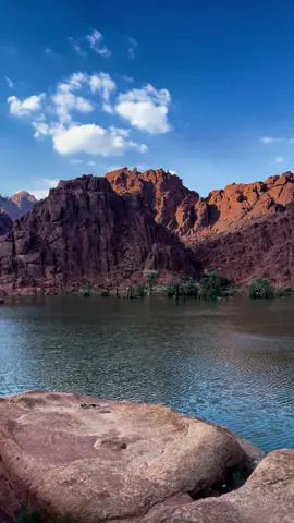 #اكسبلور#fybシviral_video_tiktok #viral #المكان_السري #حائل #حايل#حايلندا #عقده #مطر #حايلنا #fyb 