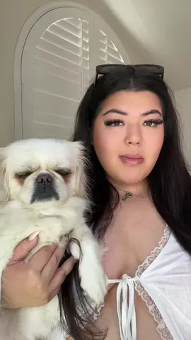 Bentley’s just here to be carried like the king he is 💖 #dogmom #pekingese #dogs #dogsoftiktok #doglife 