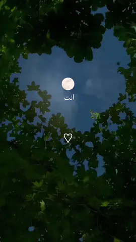 انت اللي ملكت الروح ✨ #محمد_فؤاد #حالات_واتس #رومانسي #تصميم_فيديوهات #ستوريات #حب 