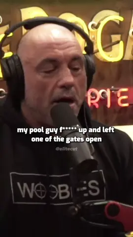 Joe Rogan_ How coyotes outsmarted his dog (part 2) #podcast, #podcasting, #newpodcast, #podcastlife, #podcastepisode, #fyp, #truecrime, #truecrimepodcast, #murder.