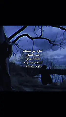 🫢#fyppppppppppppppppppppppp #fyp #explore #اشعار #اكسبلور #نور_اللامي 