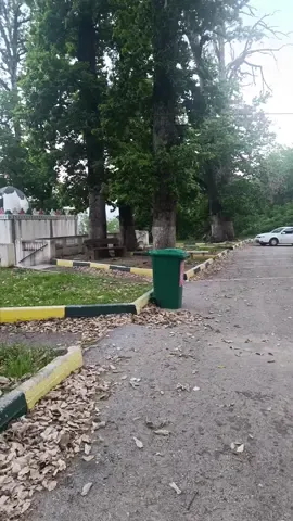 #fyp  #pourtoi  #vues  #foryoupage  #tiktok  #foryou  #tiktoknews  #viral 