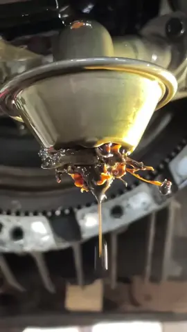 Жора йоб*ний насос 😁🤦‍♂️#audi #а4b5quattro #дружок 