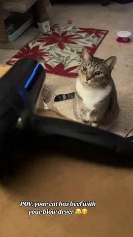 He is something else 🫣😂 #blackcatparents #BlackTikTok #catsoftiktok #fyp #fypシ゚viral #fypシ゚ #cats #blackcatparents #cats #catvideos #goofycatsoftiktok 