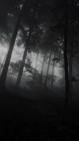 Dark forest vibes 🥀🎧 #dark #aesthetic #forest #vibes #nature #song #real #edit #relax #fyp #foryou #foryoupage #paratiiiiiiiiiiiiiiiiiiiiiiiiiiiiiii 