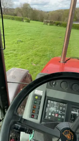 135 powerrrrr #masseyferguson #backbritishfarming #fyp #viral #youngfarmers #womeninag #farmlife #derbyshire #farming #foryou #womeninagriculture 