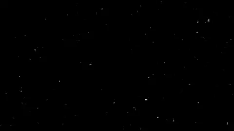 سورة #النور | الآيتين 3-2 | القارئ #سلمان_العتيبي #قرآن #قرآن_كريم #quran 