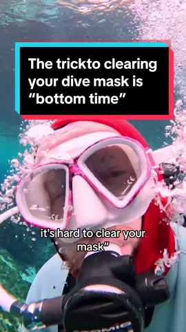 Mask clearing is often considered the hardest skill when learning to dive, but more bottom time (comfort) can take the sting out 🤿🤿🤿 #scuba #scubatiktok #scubacertification #scubatraining #padi #scubadivingwithkenny 