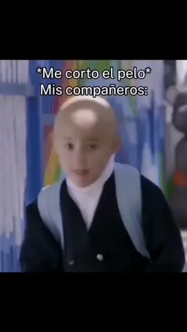 #pelon #larosadeguadalupe 