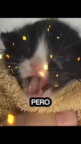 salchipapa de otro🫠#parati #salchipapa #viral 